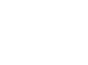 Q Interactive | Smart AI & Web Solutions for Business